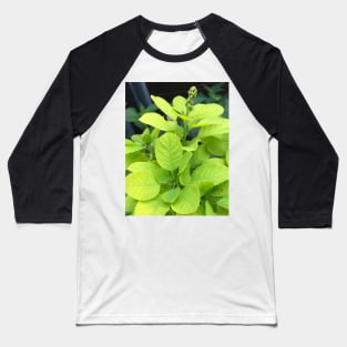 Forest Bathing with the Green Leaves of Our Beautiful Planet Baseball T-Shirt